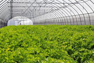 服務(wù)業(yè)哪些比較有前景:盤(pán)點(diǎn)最具潛力的十大服務(wù)行業(yè)