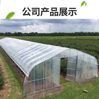 中科 透氣 一站式服務(wù) 外遮陽系統(tǒng) 擋風(fēng)擋雪 獨棟溫室大棚定做