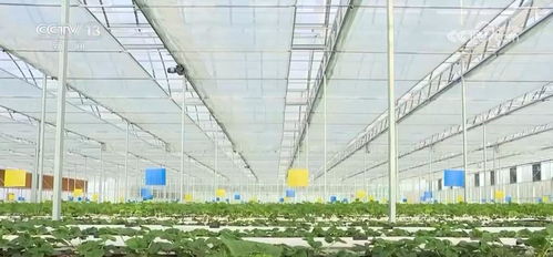 優(yōu)勢互補(bǔ) 同向發(fā)力 農(nóng)業(yè)農(nóng)村部全力推進(jìn)高水平農(nóng)業(yè)科技自立自強(qiáng)