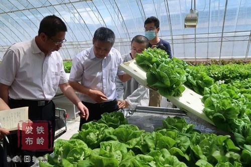 新華社遼寧分社采訪(fǎng)組來(lái)我市采訪(fǎng) 三農(nóng) 工作