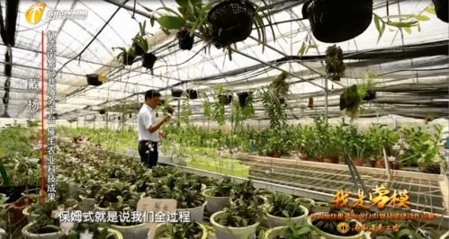 我是勞模丨南繁 保姆 戴揚(yáng) 打造南繁公共服務(wù)平臺(tái) 催生更多更好的農(nóng)業(yè)科技成果