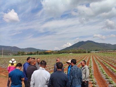 昆明市種子管理站聯(lián)合昆明市烤煙生產(chǎn)辦公室到尋甸縣開展科技增糧服務(wù)工作
