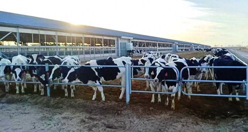 農發行金昌市分行推動農業科技加速轉化