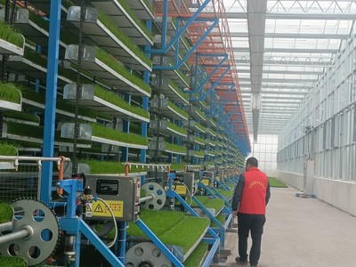 新農人(69)|春耕盡顯"科技范"!這座智能育秧工廠的"管家"就是他