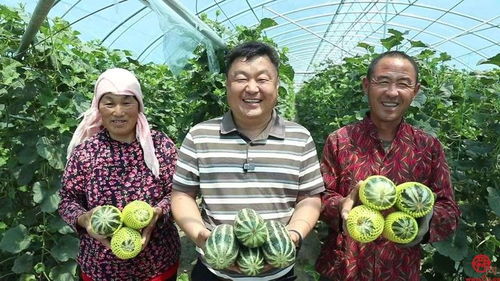 高官寨街道名優(yōu)特農(nóng)產(chǎn)品亮相2024章丘區(qū)特色產(chǎn)品展銷(xiāo)推介會(huì)