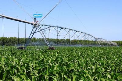 做強(qiáng)做優(yōu)&ldquo;雙黃&ldquo;產(chǎn)業(yè) 通遼這樣打造國(guó)家農(nóng)業(yè)科技園區(qū)