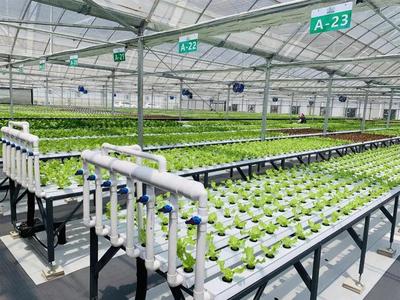 補貼上百萬!數字農業工廠:智能化、自動化的農業生產新模式