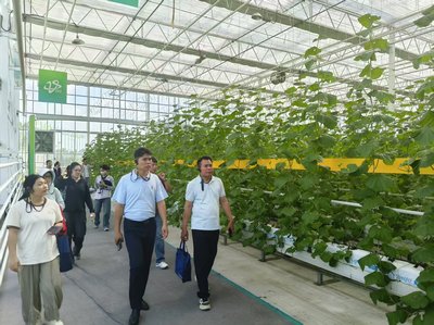 海南農(nóng)技人員赴山東學(xué)習(xí)&ldquo;濰坊模式&rdquo; 賦能瓜菜提質(zhì)增收