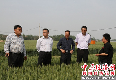 河南農(nóng)業(yè)大學(xué) 科技套餐送達田間地頭，精準服務(wù)助推鄉(xiāng)村振興